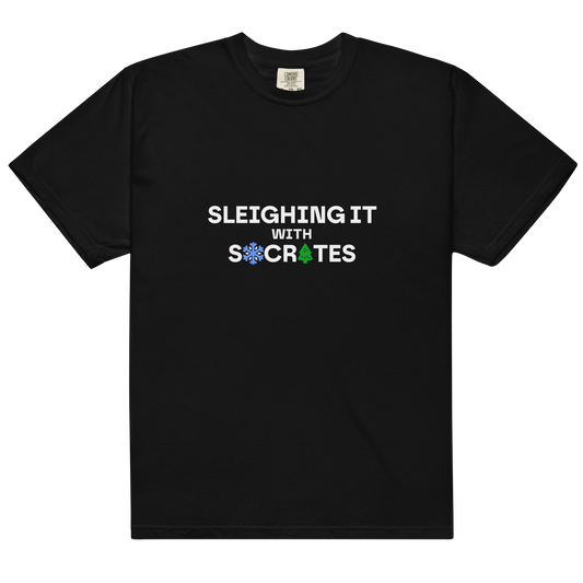 Heavyweight tee in colors - Socrates / Unisex