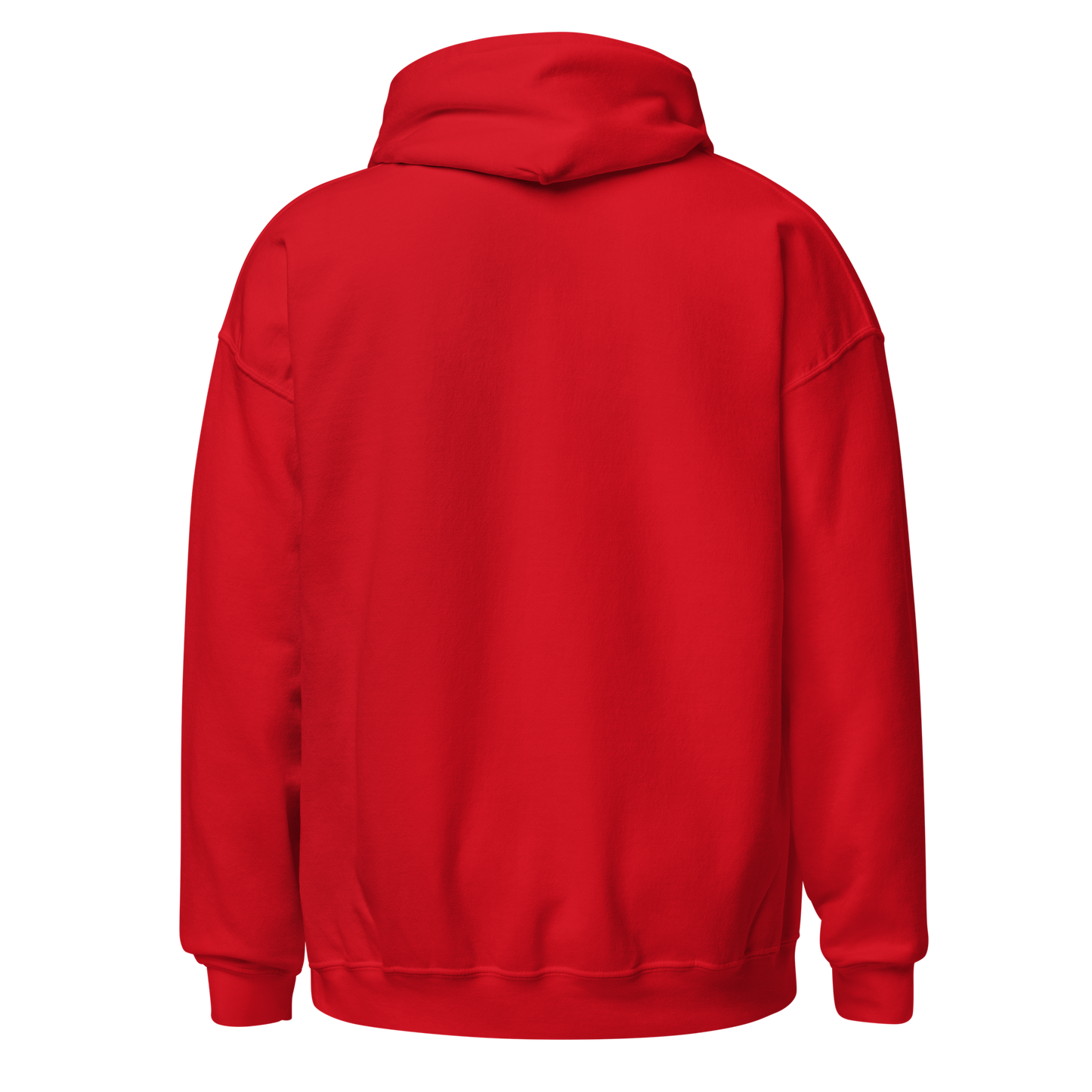 Festive hoodie in colors / Unisex