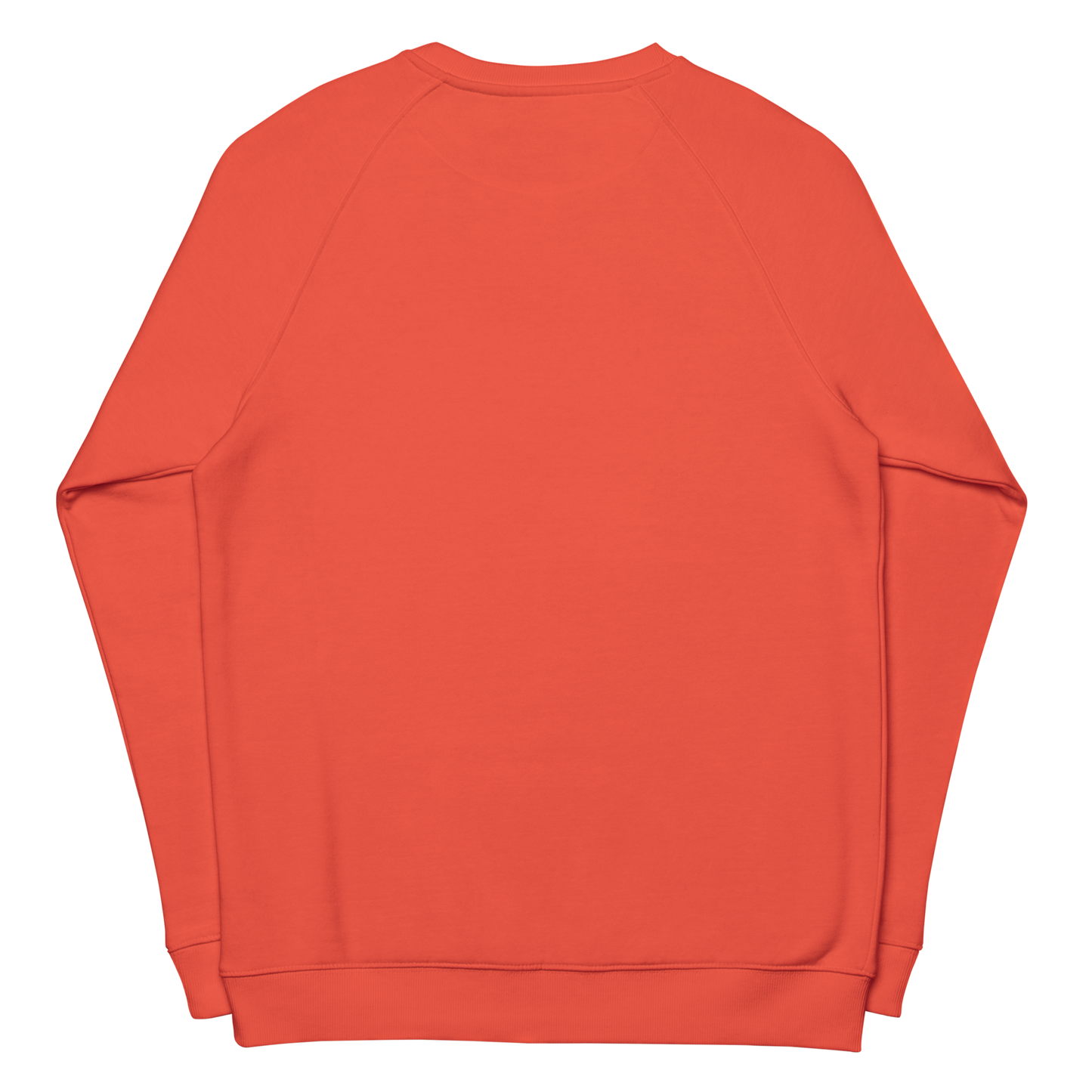 Festive organic raglan sweatshirt in colors / Unisex